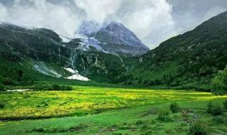 我心爱的人 我心爱的人